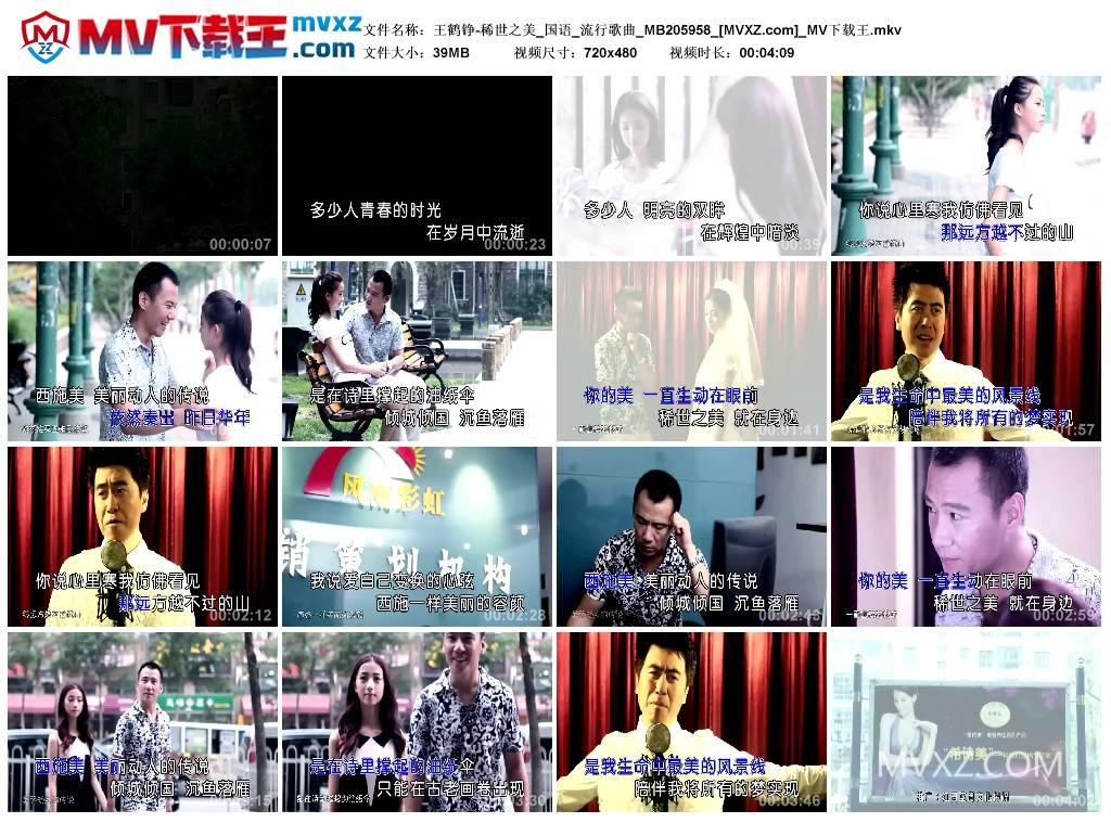 王鹤铮-稀世之美_国语_流行歌曲_MB205958